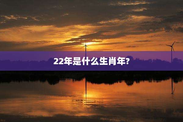 22年是什么生肖年?