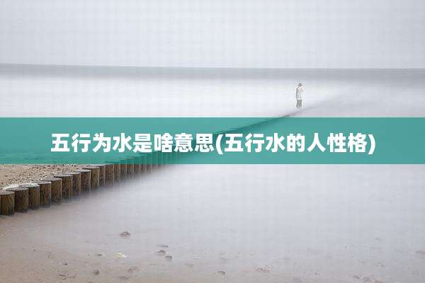 五行为水是啥意思(五行水的人性格)