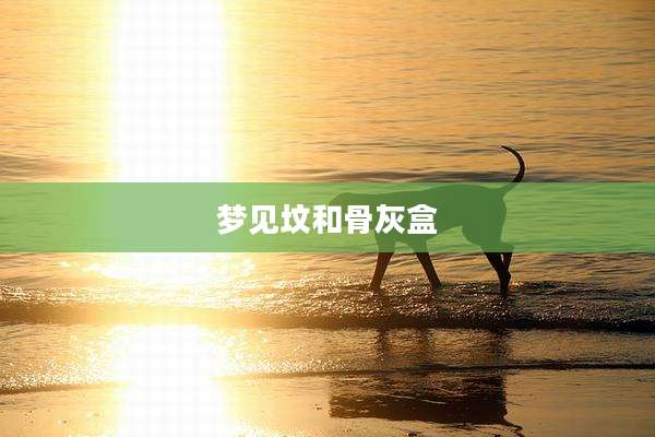 梦见坟和骨灰盒