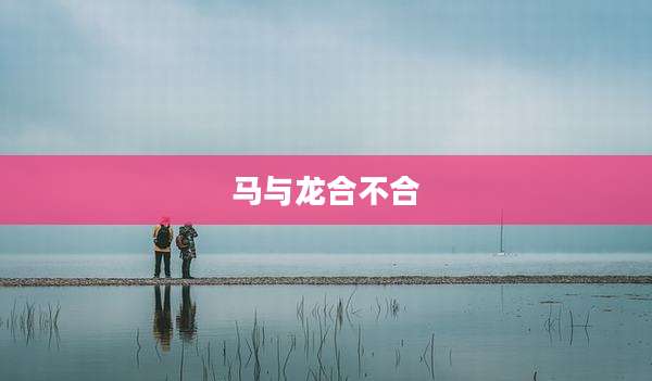 马与龙合不合