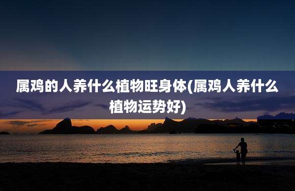 属鸡的人养什么植物旺身体(属鸡人养什么植物运势好)