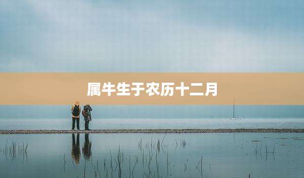 属牛生于农历十二月