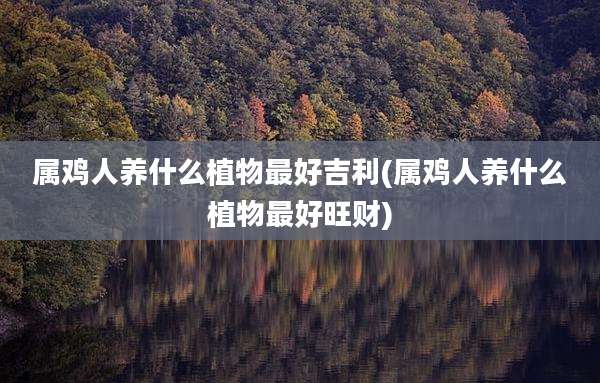 属鸡人养什么植物最好吉利(属鸡人养什么植物最好旺财)