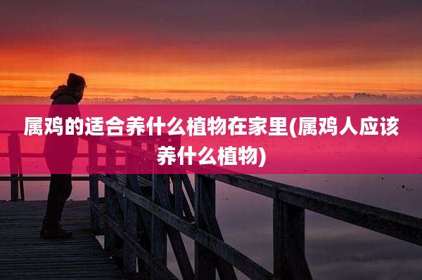 属鸡的适合养什么植物在家里(属鸡人应该养什么植物)