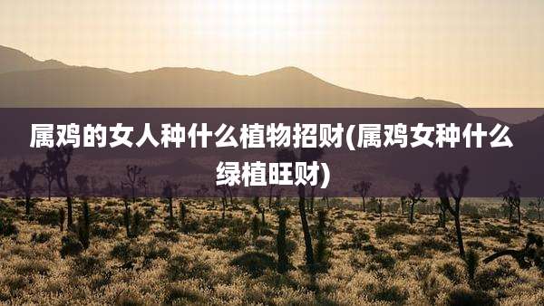 属鸡的女人种什么植物招财(属鸡女种什么绿植旺财)