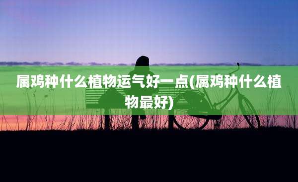 属鸡种什么植物运气好一点(属鸡种什么植物最好)