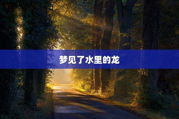 梦见了水里的龙