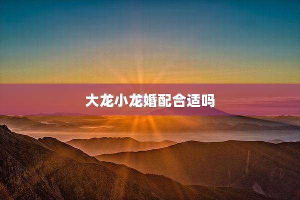 大龙小龙婚配合适吗