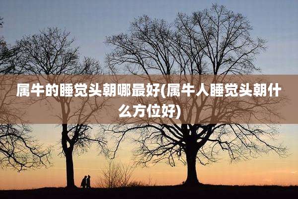属牛的睡觉头朝哪最好(属牛人睡觉头朝什么方位好)