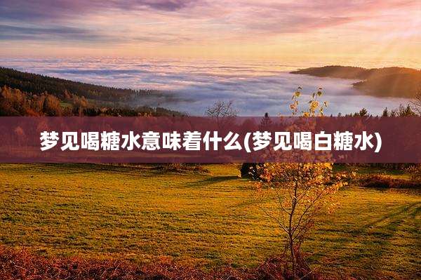 梦见喝糖水意味着什么(梦见喝白糖水)