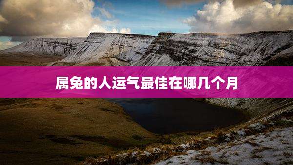 属兔的人运气最佳在哪几个月