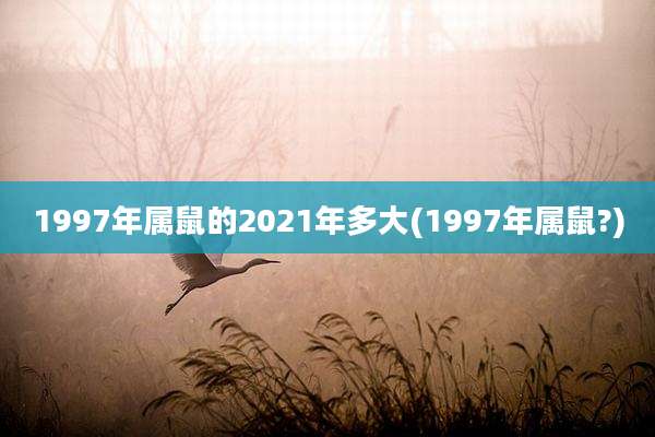 1997年属鼠的2021年多大(1997年属鼠?)
