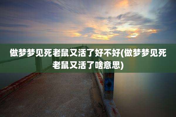 做梦梦见死老鼠又活了好不好(做梦梦见死老鼠又活了啥意思)