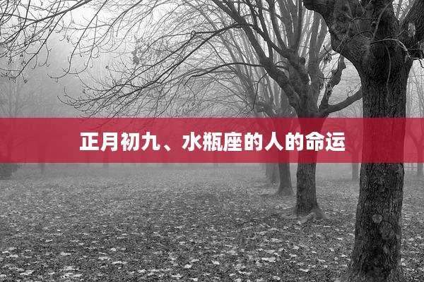 正月初九、水瓶座的人的命运