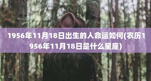 1956年11月18日出生的人命运如何(农历1956年11月18日是什么星座)