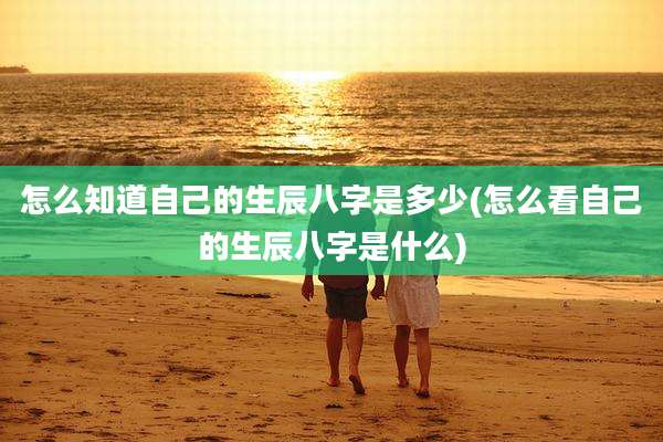怎么知道自己的生辰八字是多少(怎么看自己的生辰八字是什么)
