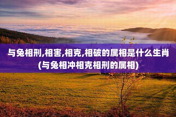 与兔相刑,相害,相克,相破的属相是什么生肖(与兔相冲相克相刑的属相)