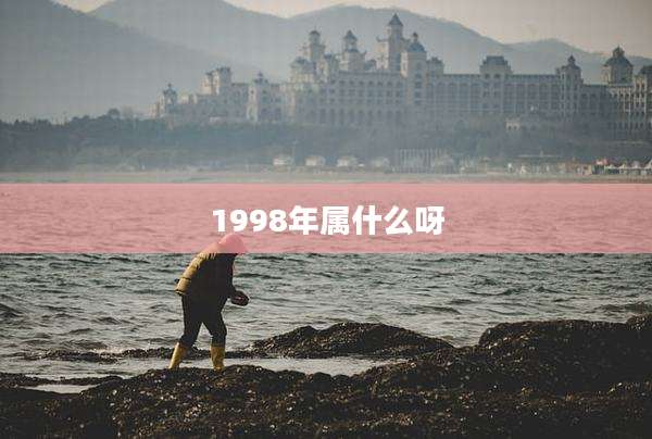 1998年属什么呀