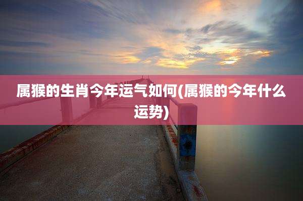 属猴的生肖今年运气如何(属猴的今年什么运势)
