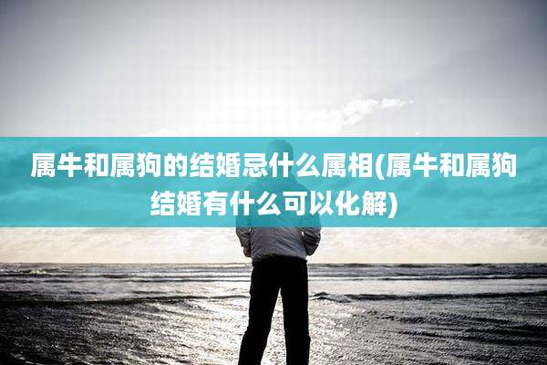 属牛和属狗的结婚忌什么属相(属牛和属狗结婚有什么可以化解)