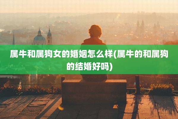 属牛和属狗女的婚姻怎么样(属牛的和属狗的结婚好吗)