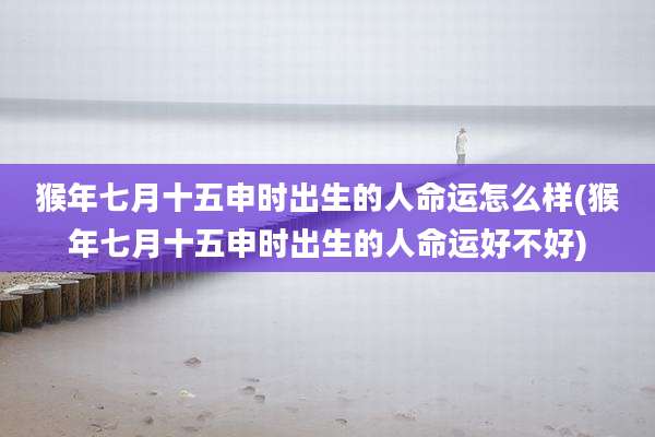 猴年七月十五申时出生的人命运怎么样(猴年七月十五申时出生的人命运好不好)