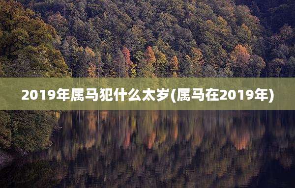 2019年属马犯什么太岁(属马在2019年)