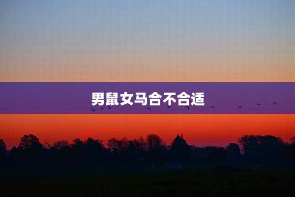 男鼠女马合不合适