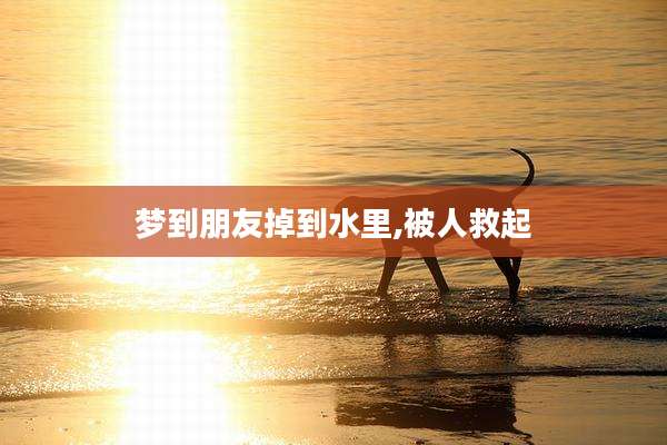 梦到朋友掉到水里,被人救起
