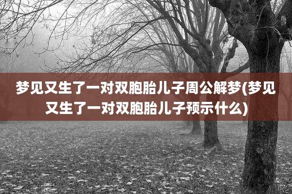 梦见又生了一对双胞胎儿子周公解梦(梦见又生了一对双胞胎儿子预示什么)