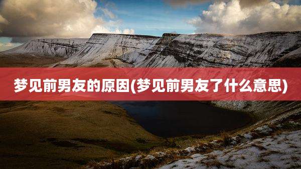 梦见前男友的原因(梦见前男友了什么意思)