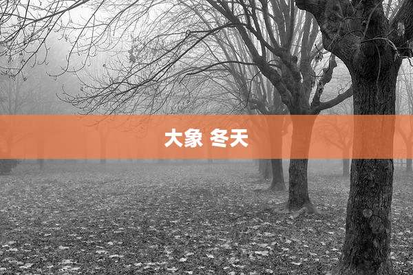 大象 冬天