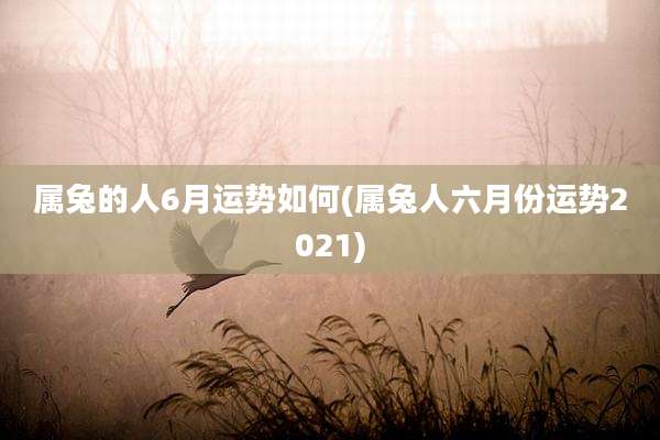 属兔的人6月运势如何(属兔人六月份运势2021)