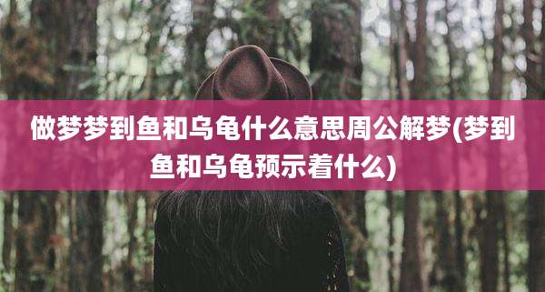 做梦梦到鱼和乌龟什么意思周公解梦(梦到鱼和乌龟预示着什么)
