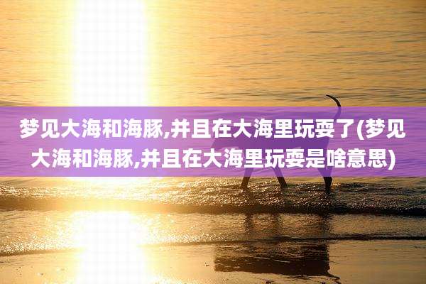 梦见大海和海豚,并且在大海里玩耍了(梦见大海和海豚,并且在大海里玩耍是啥意思)