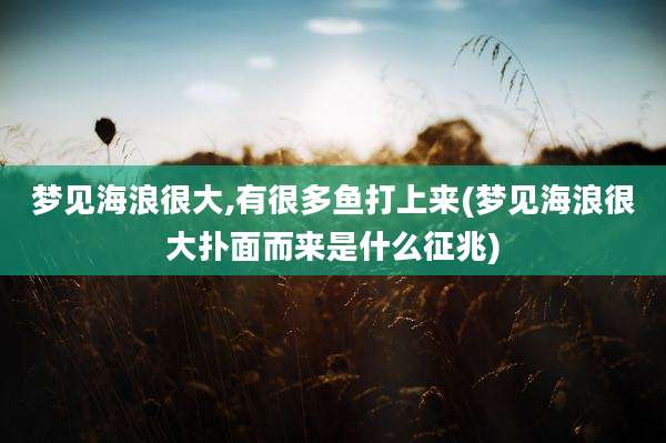 梦见海浪很大,有很多鱼打上来(梦见海浪很大扑面而来是什么征兆)