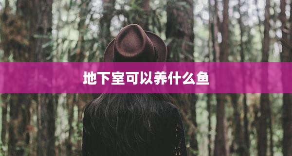 地下室可以养什么鱼