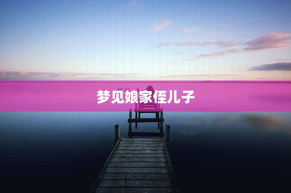 梦见娘家侄儿子