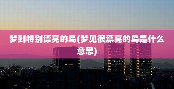 梦到特别漂亮的鸟(梦见很漂亮的鸟是什么意思)