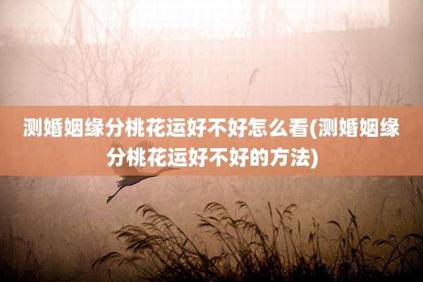 测婚姻缘分桃花运好不好怎么看(测婚姻缘分桃花运好不好的方法)