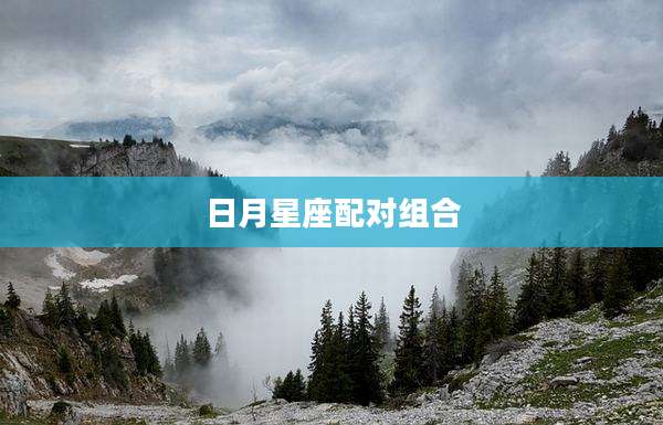日月星座配对组合