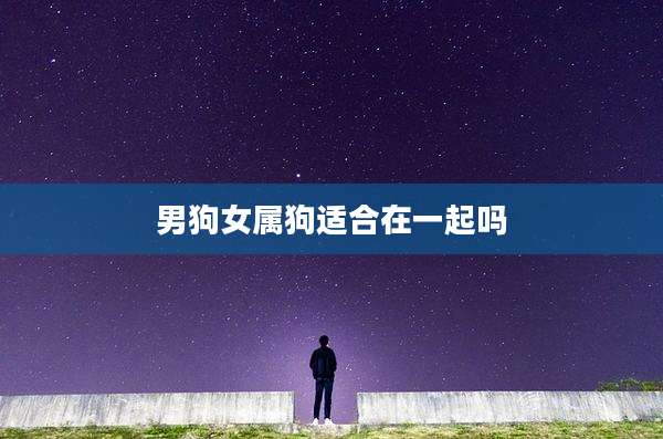 男狗女属狗适合在一起吗