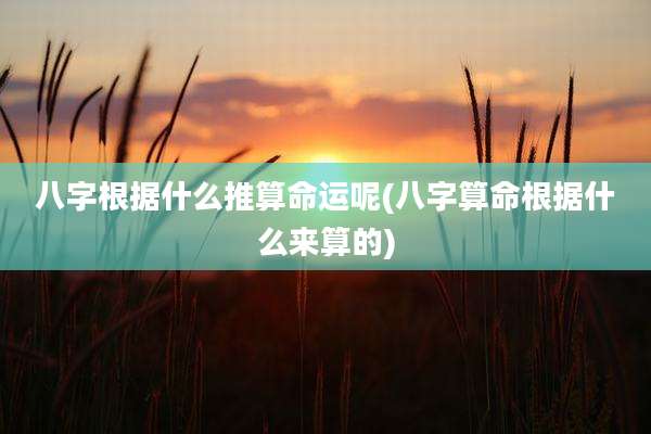 八字根据什么推算命运呢(八字算命根据什么来算的)