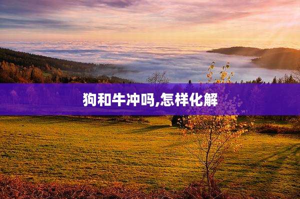狗和牛冲吗,怎样化解