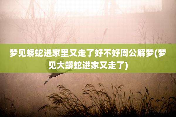 梦见蟒蛇进家里又走了好不好周公解梦(梦见大蟒蛇进家又走了)