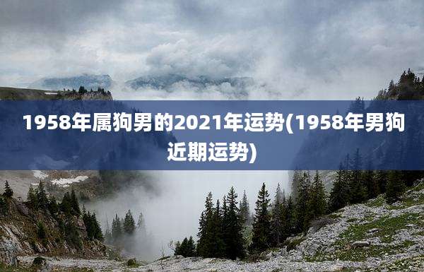 1958年属狗男的2021年运势(1958年男狗近期运势)