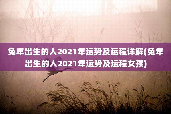 兔年出生的人2021年运势及运程详解(兔年出生的人2021年运势及运程女孩)