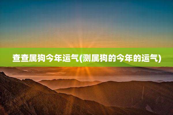 查查属狗今年运气(测属狗的今年的运气)