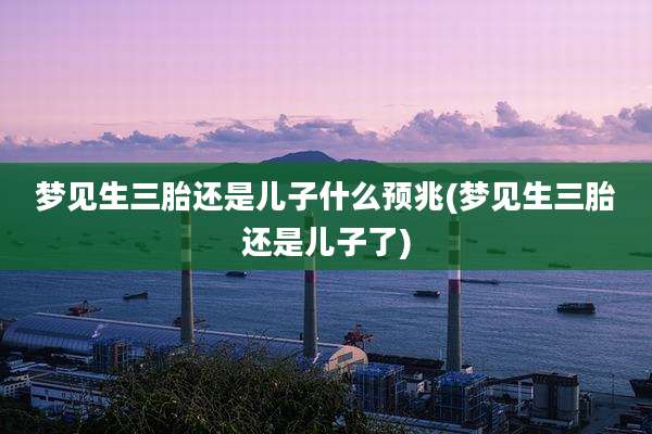 梦见生三胎还是儿子什么预兆(梦见生三胎还是儿子了)