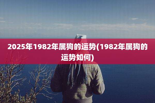 2025年1982年属狗的运势(1982年属狗的运势如何)